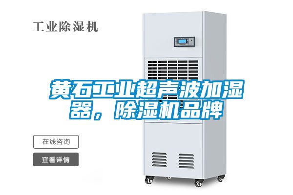 黄石工业超声波加湿器，芭乐APP下载官网入口新版品牌