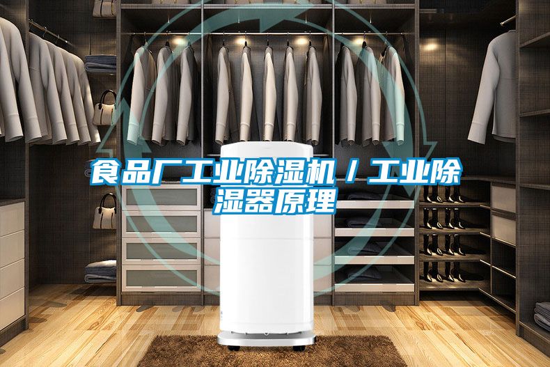 食品厂工业芭乐APP下载官网入口新版／工业除湿器原理